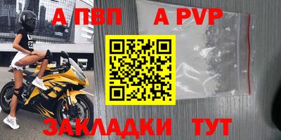 амф Донской
