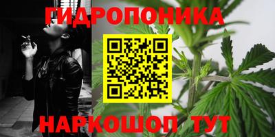 амф Донской
