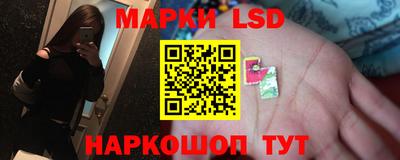 тгк Дубна